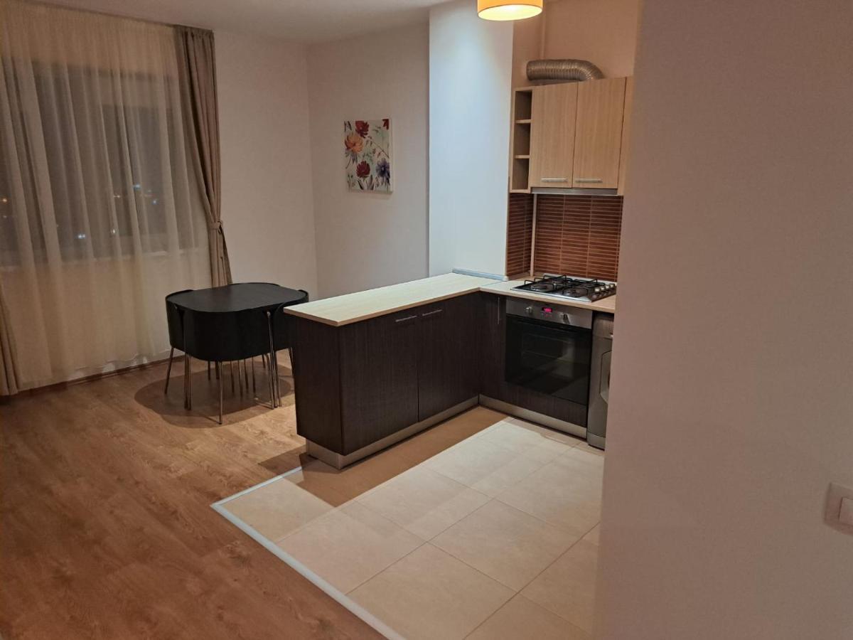 Regim Hotelier Rin Grand Apartament Bucureşti